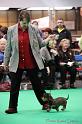 Crufts2011_2 1065